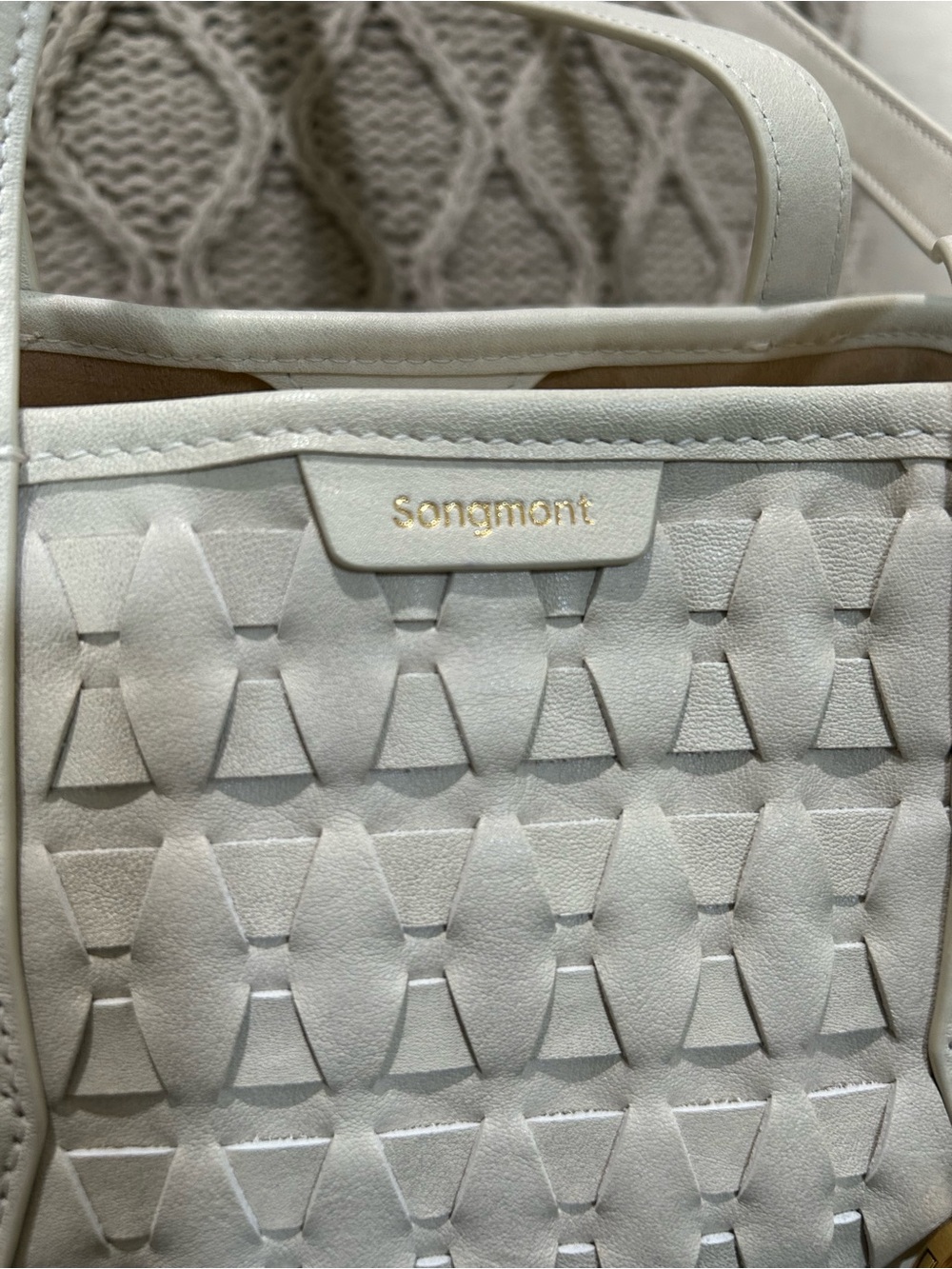 ✨ Authentic Songmont Lattice Shellseeker Bag - Cloud ( Off White) Retail $610 ✨ - Picture 7 of 15